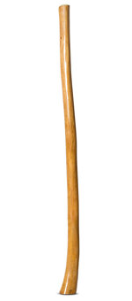 Gloss Finish Didgeridoo (TW1265)